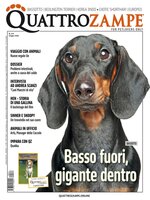 Quattrozampe